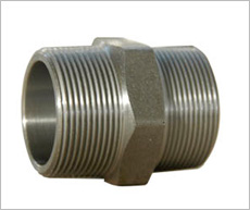 �����p�z�^